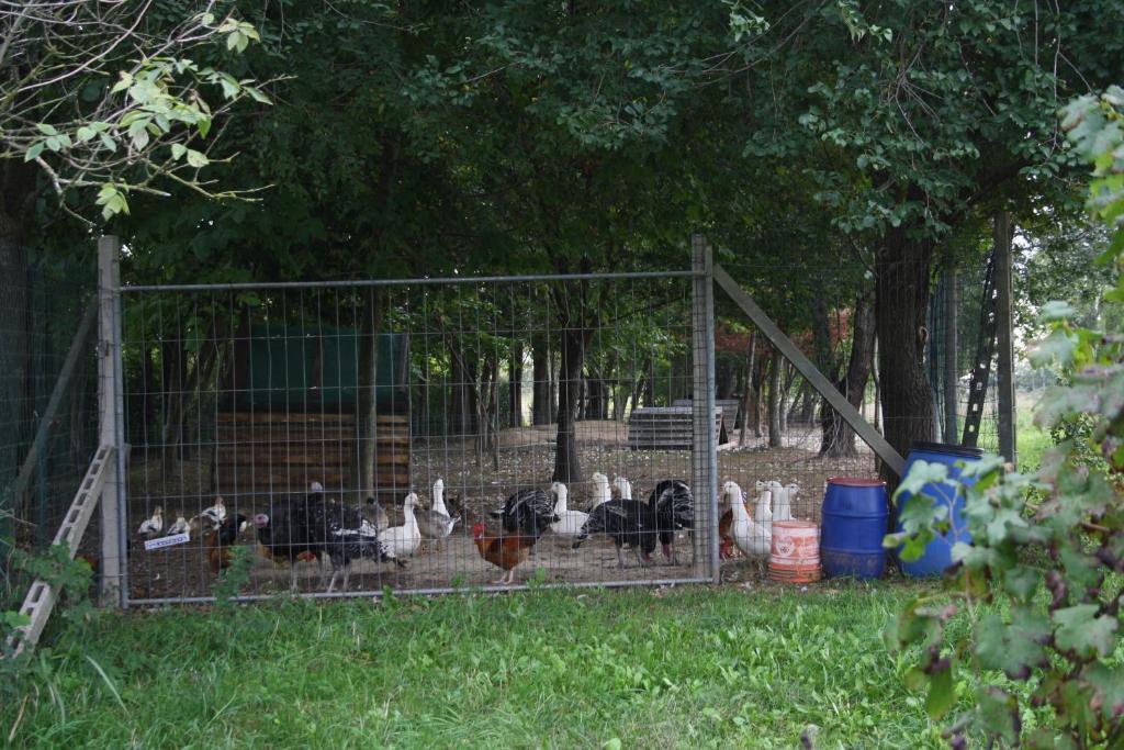 Bed and Breakfast I Guardiani Carlino Zewnętrze zdjęcie