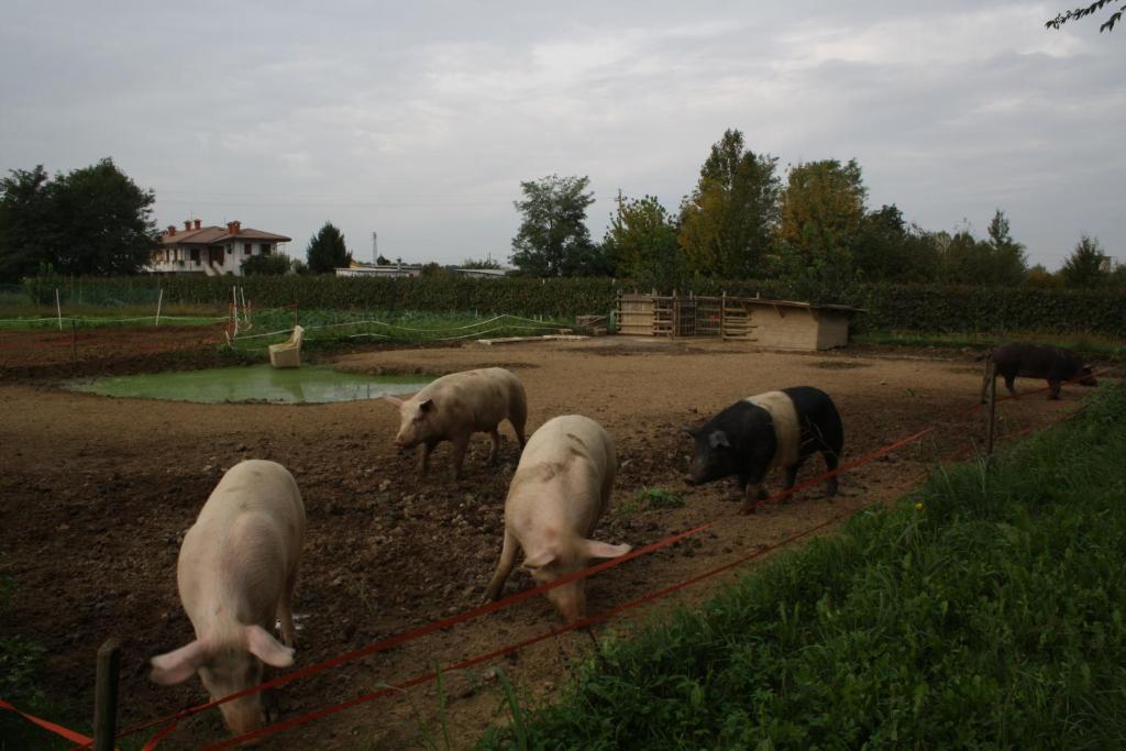 Bed and Breakfast I Guardiani Carlino Zewnętrze zdjęcie